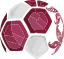 لیگ دو قطر